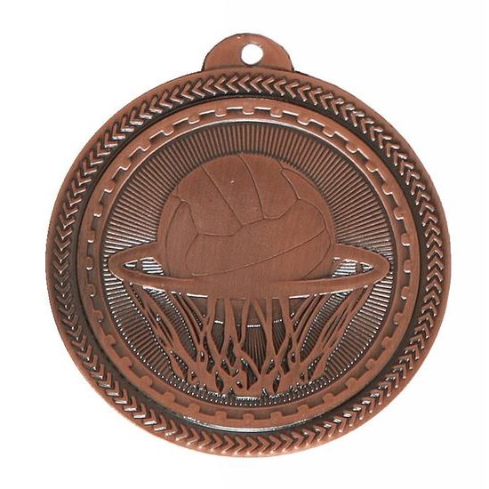 Economy Netball Bronze Medal