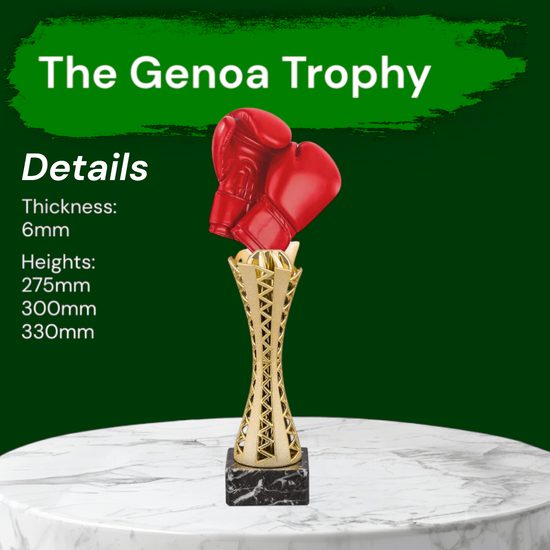 Genoa Boxing Gloves Trophy