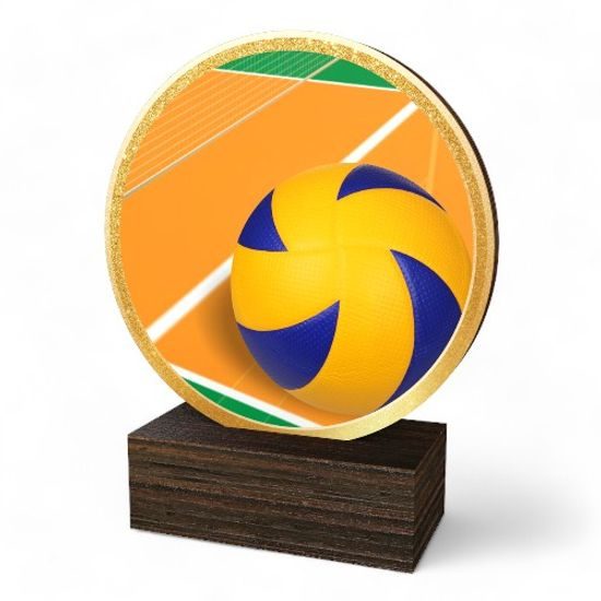 Holt Colour Volleyball Real Wood Trophy