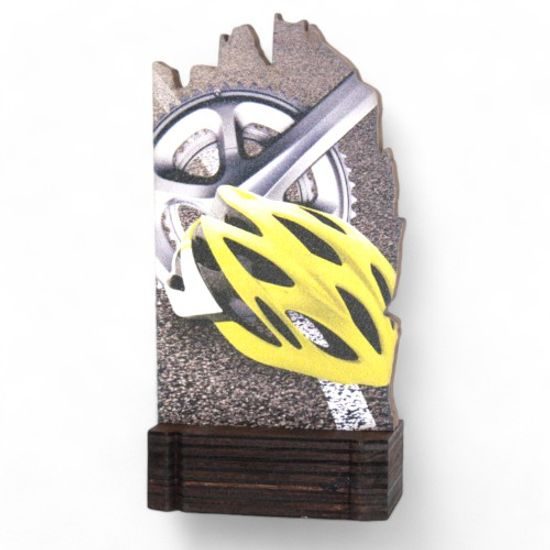 Shard Cycling Eco Friendly Wooden Trophy