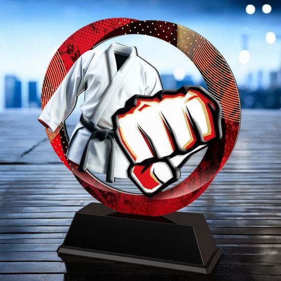 Onyx Stainless Steel Martial Arts Trophy