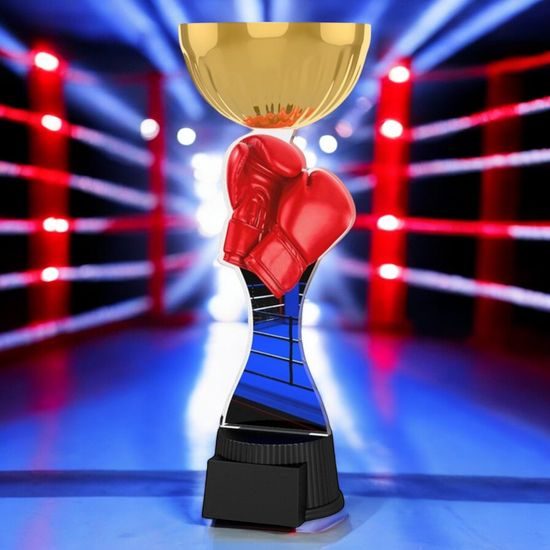 Vancouver Boxing Gloves Gold Cup Trophy