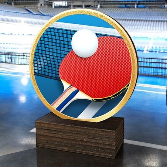 Holt Colour Table Tennis Arts Real Wood Trophy