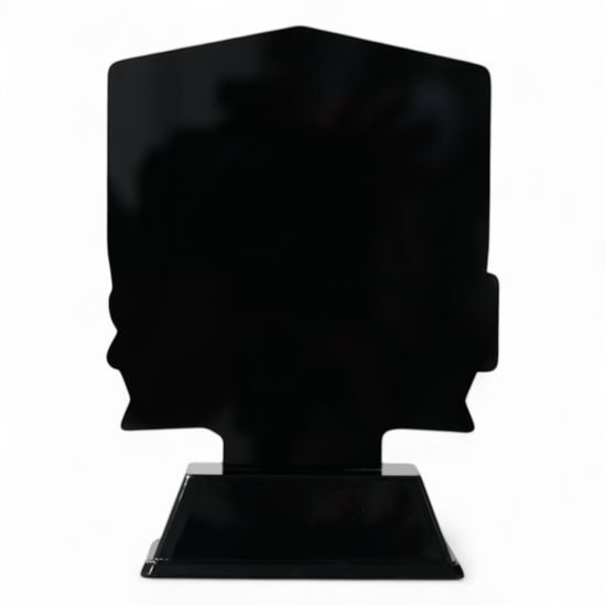 Pavilion Spirit of Cricket Award Trophy