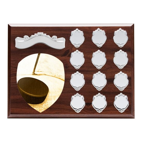Wessex Ice Hockey Wooden 12 Year Annual Shield