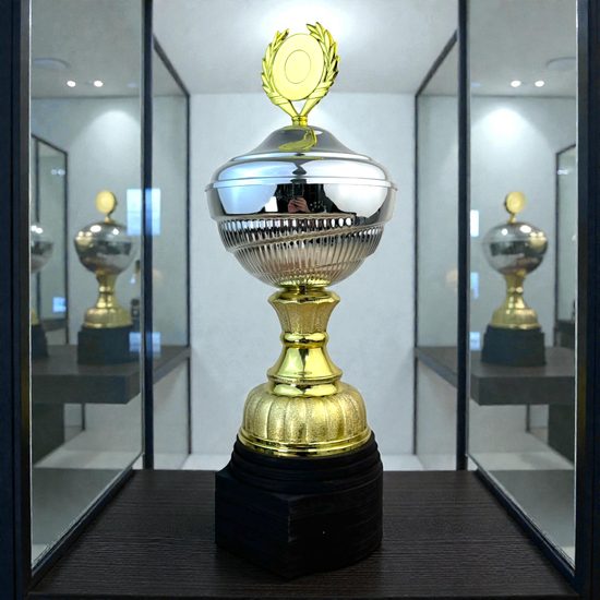 Ashford Silver & Gold Logo Cup