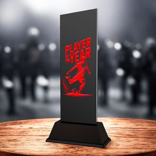 Shadowline Football Male Player of the Year Trophy – Stainless Steel Award