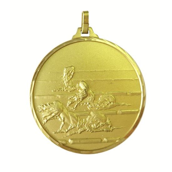 Diamond Edged Swimming Male Front Crawl Stroke Gold Medal