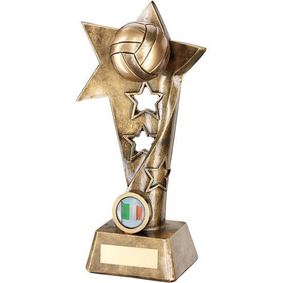 Volleyball 3D Star Trophy