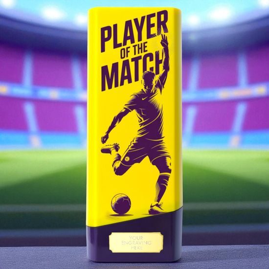 Tower Elite Heavyweight Player of the Match Football Trophy
