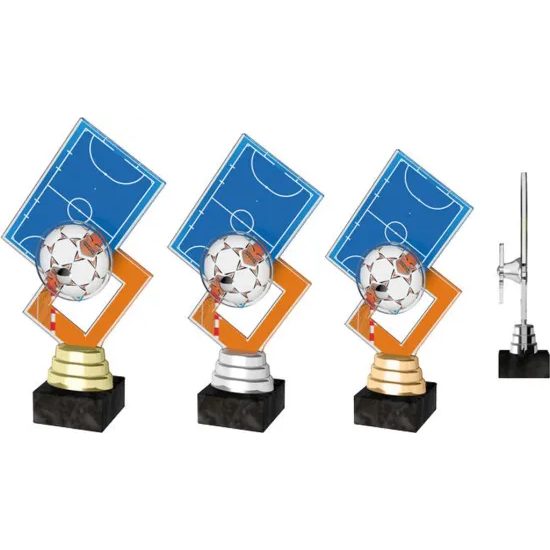 Hanover Futsal Indoor Football Pitch Trophy