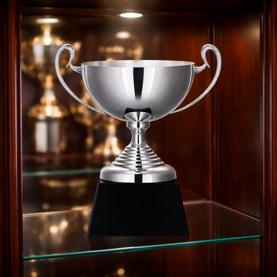 Canera Silver Plated Cup