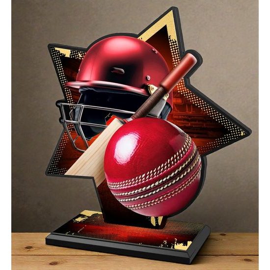 Liano Metal & Acrylic Star Cricket Trophy