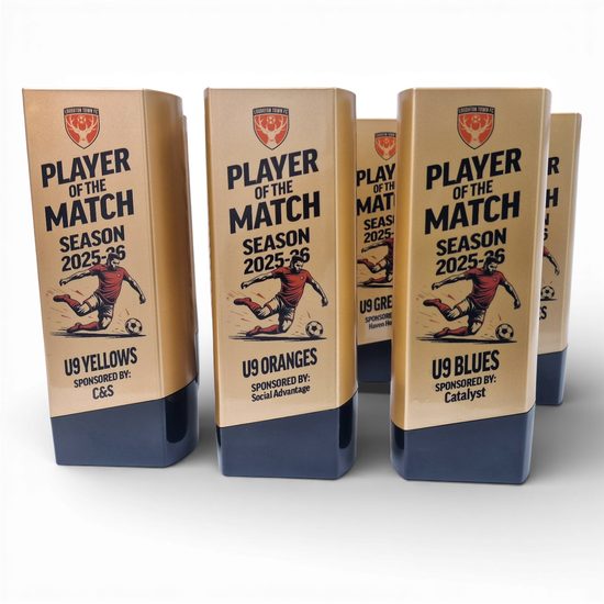 Tower Elite Heavyweight Custom Printed Sports Club Award