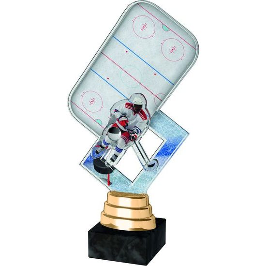 Hanover Ice Hockey Rink Player Trophy