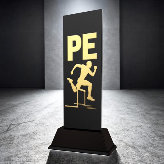 Shadowline School PE Trophy – Stainless Steel Award
