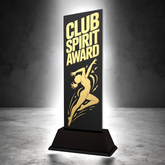 Shadowline Gymnastics Club Spirit Award Trophy – Stainless Steel Award