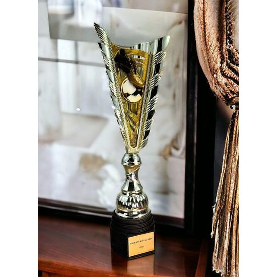 Chester Football Gold Trophy