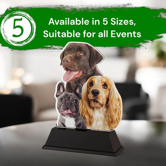 Ostrava Dog Multi Breed Trophy