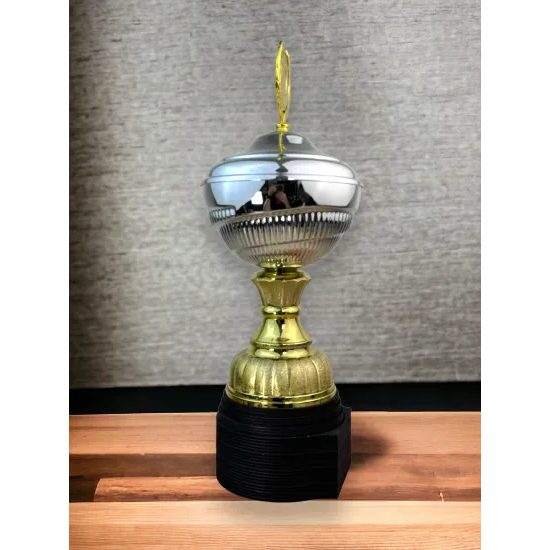 Ashford Silver & Gold Logo Cup