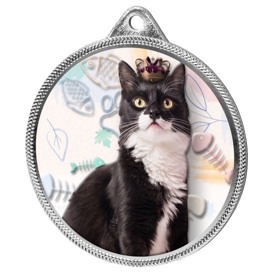 Cat Show Colour Texture 3D Print Silver Medal