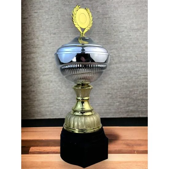 Ashford Silver & Gold Logo Cup