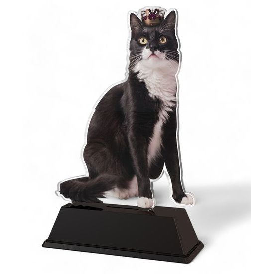 Ostrava Cat Show Trophy