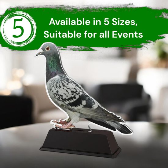 Ostrava Pigeon Trophy