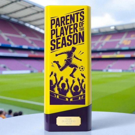 Tower Elite Heavyweight Parents Player of the Season Football Trophy