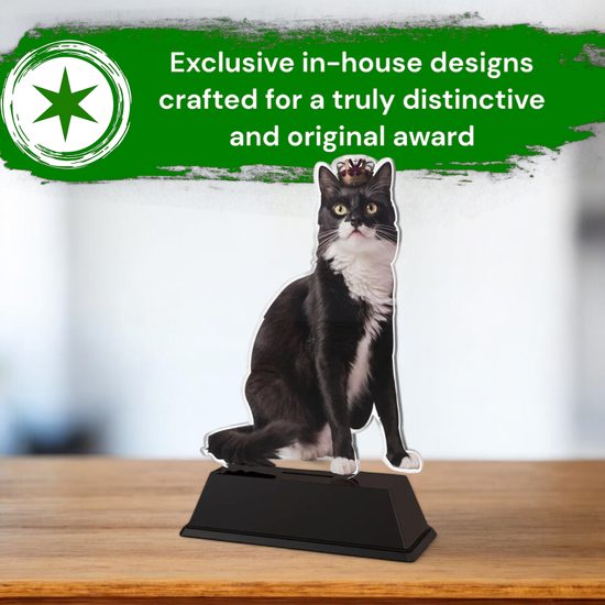 Ostrava Cat Show Trophy