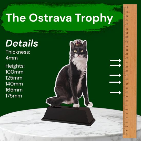 Ostrava Cat Show Trophy