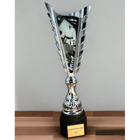 Chester Martial Arts Silver Trophy
