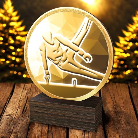 Holt Classic Male Gymnastics Arts Wood Trophy