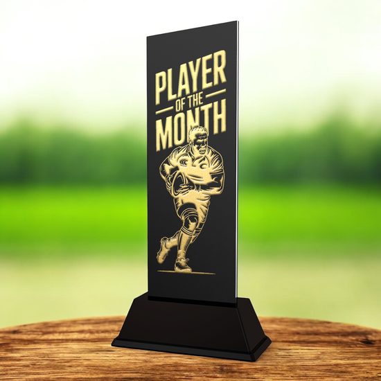 Shadowline Rugby Player of the Month Trophy – Stainless Steel Award