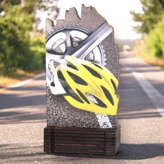 Shard Cycling Eco Friendly Wooden Trophy