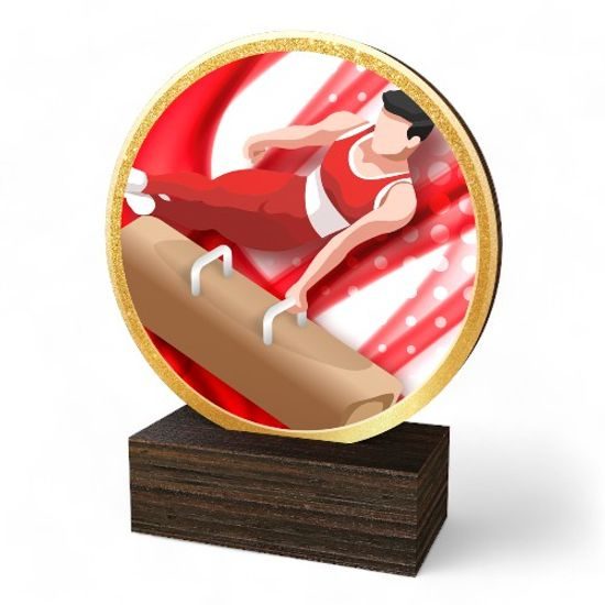 Holt Colour Male Gymnastics Real Wood Trophy