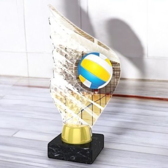 Foxton Volleyball Trophy