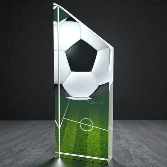 Everest Football Trophy