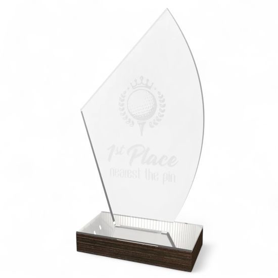 Elmira Acrylic and Wood Fusion Award