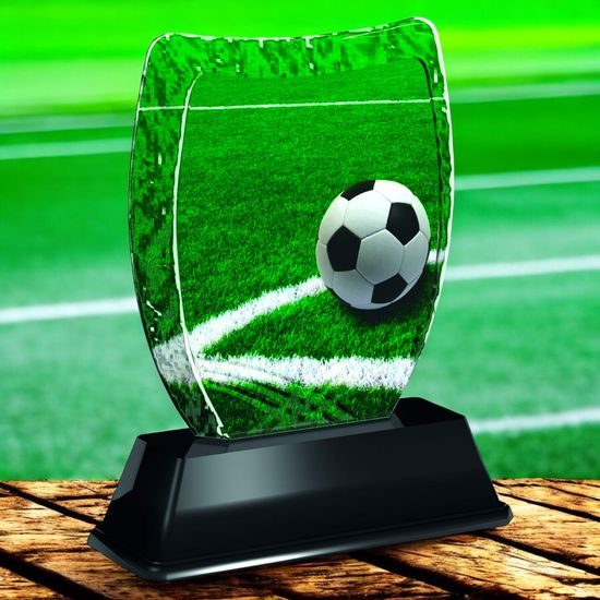 Iceberg Football Pitch Trophy