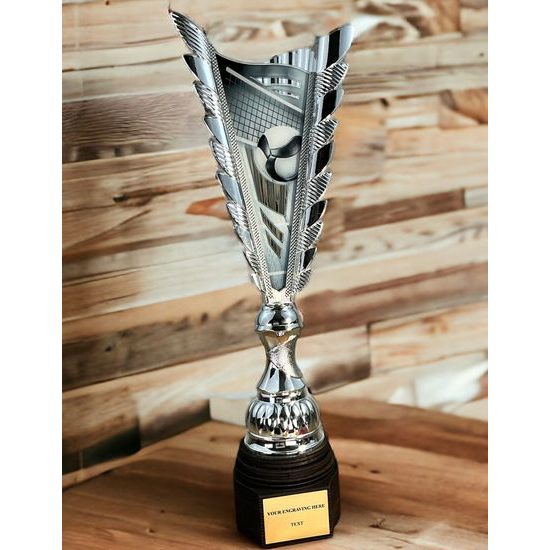 Chester Volleyball Silver Trophy