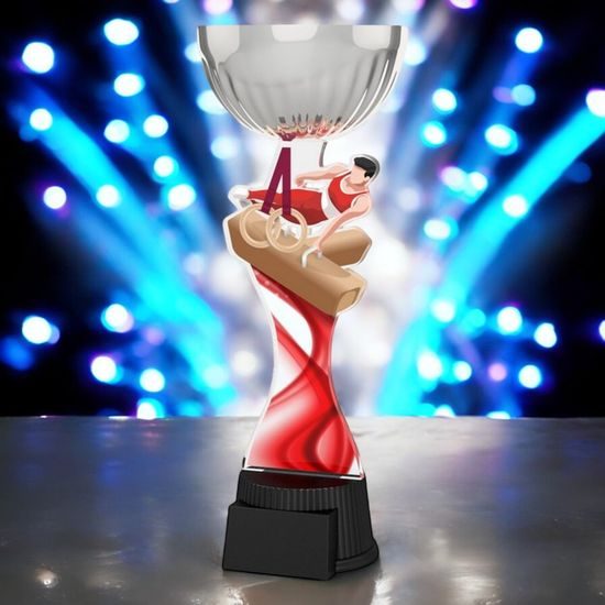 Montreal Male Gymnast Silver Cup Trophy