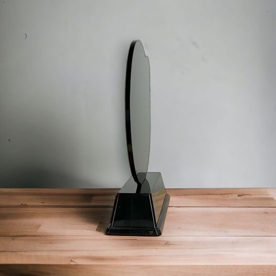 Roswell Boxing Trophy