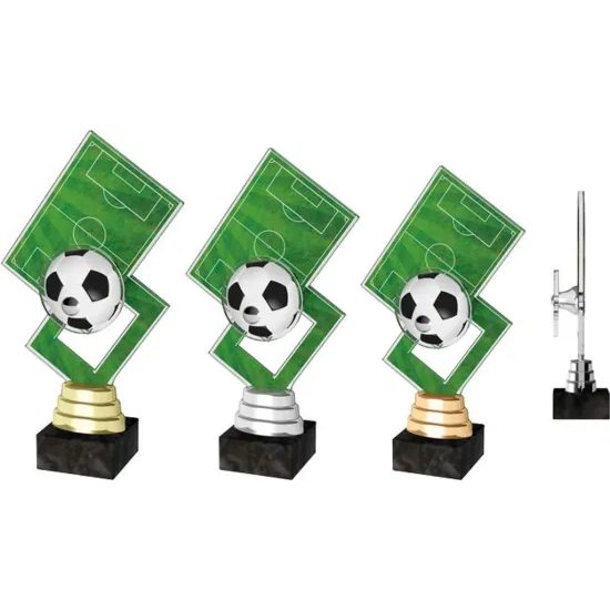 Hanover Football Pitch Trophy