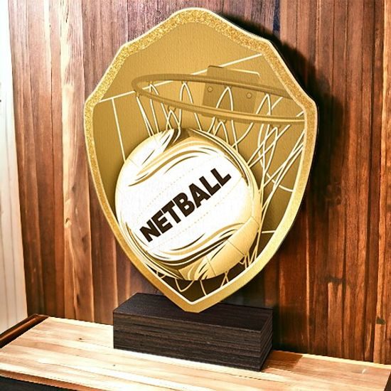 Arden Classic Netball Real Wood Shield Trophy