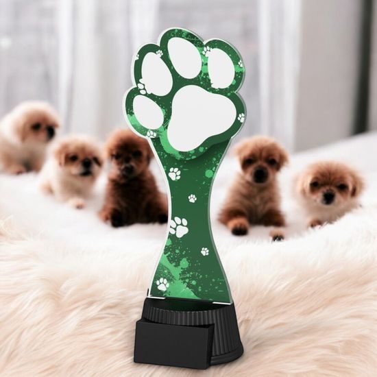Toto Green Dog Trophy