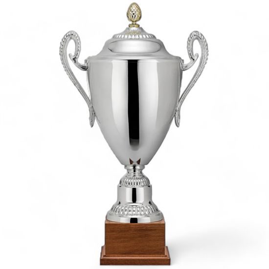 Zenga Silver Plated Cup with Lid