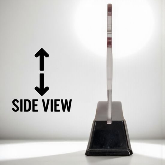 Santa Equestrian Christmas Show Jumping Trophy (2)