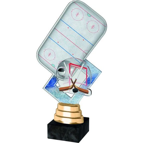 Hanover Ice Hockey Rink Trophy