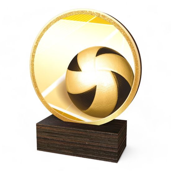 Holt Classic Volleyball Wood Trophy